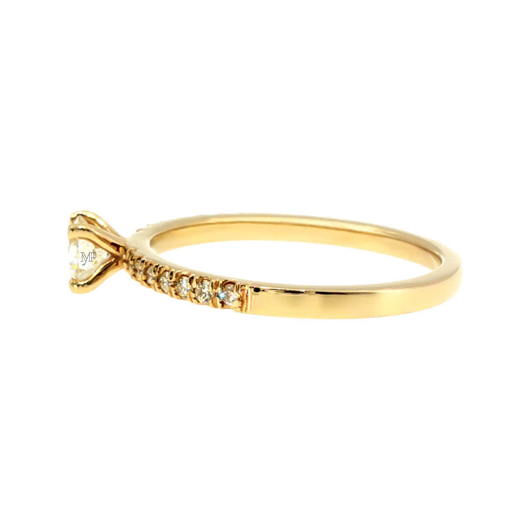Anillo "Nilo L" oro amarillo 14K con diamante nat 0.30ct GIA