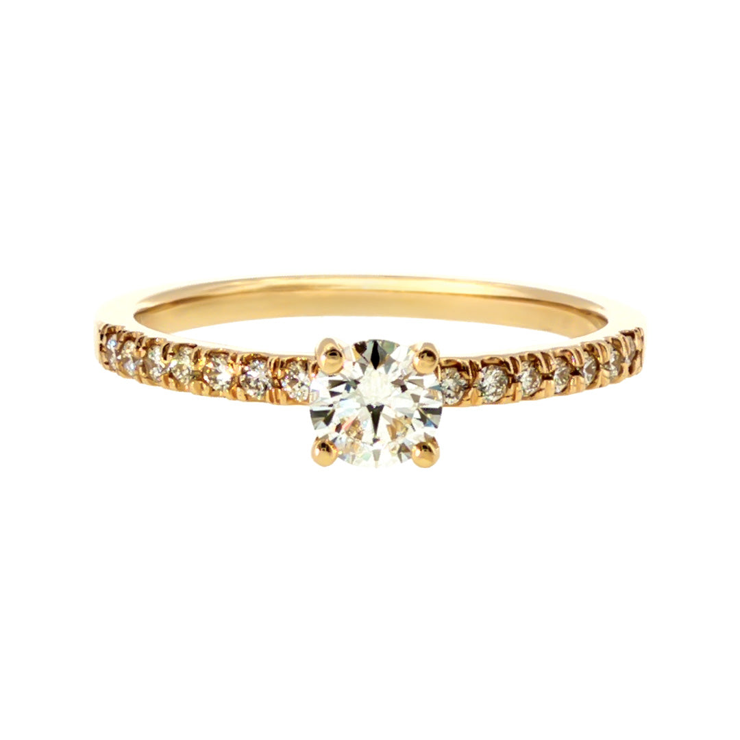 Anillo "Nilo L" oro amarillo 14K con diamante nat 0.30ct GIA