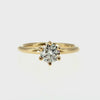 Anillo "Nilo 6 uñas" oro amarillo 14K, diamante lg 0.70ct H&A IGI